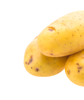 potato